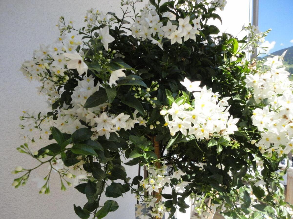 Apartment Bei Anna ชลิทเทอร์ส ภายนอก รูปภาพ